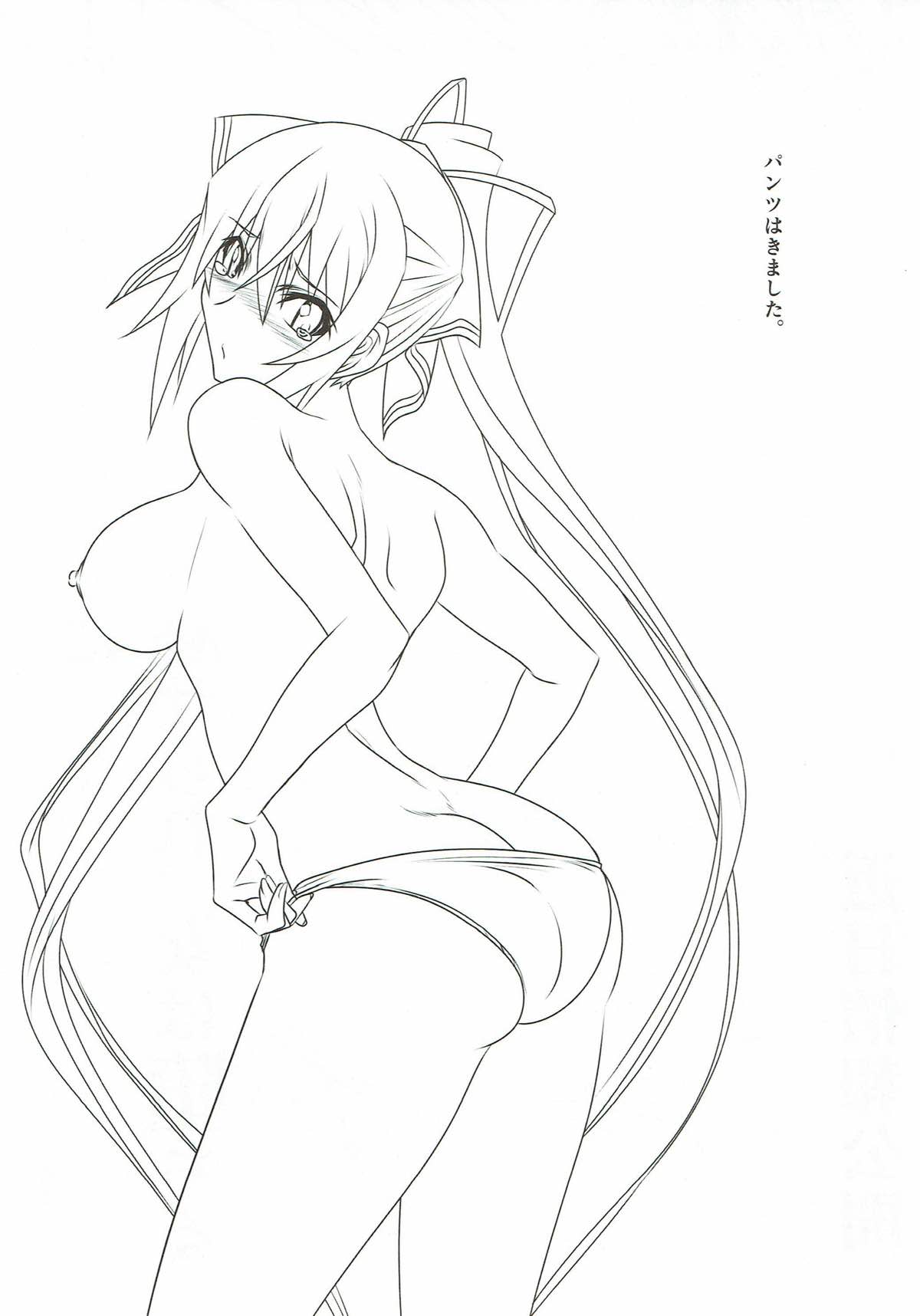 (とら祭り2015) [STUDIO TRIUMPH (むとうけいじ)] アストラルバウトSP02 (IS＜インフィニット・ストラトス＞)