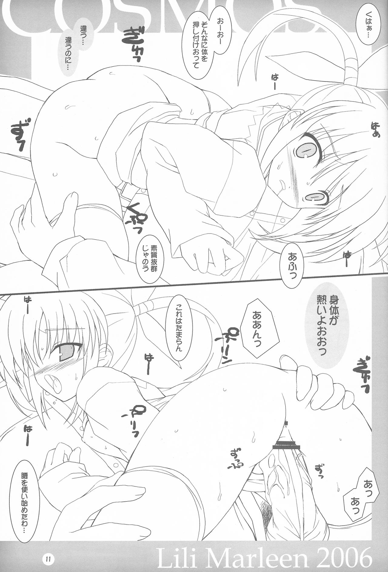 (C71) [リリーマルレーン (きのはらひかる)] COSMOS (魔法少女リリカルなのは)