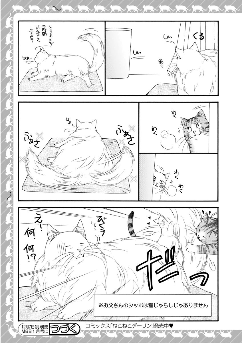 MAGAZINE BE×BOY 2015年12月号 [DL版]