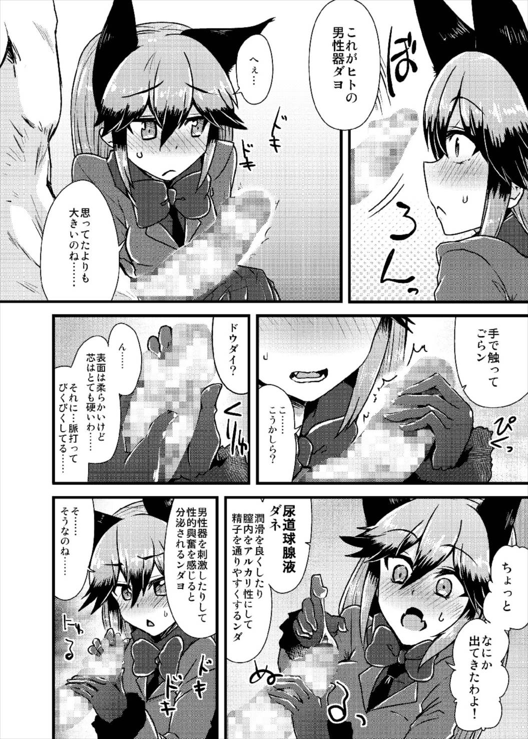 (ジャパリケット3) [かうじょん (ぇぃたいさ)] ギンギツネちゃんにヒトの交尾をおしえたいっ (けものフレンズ)