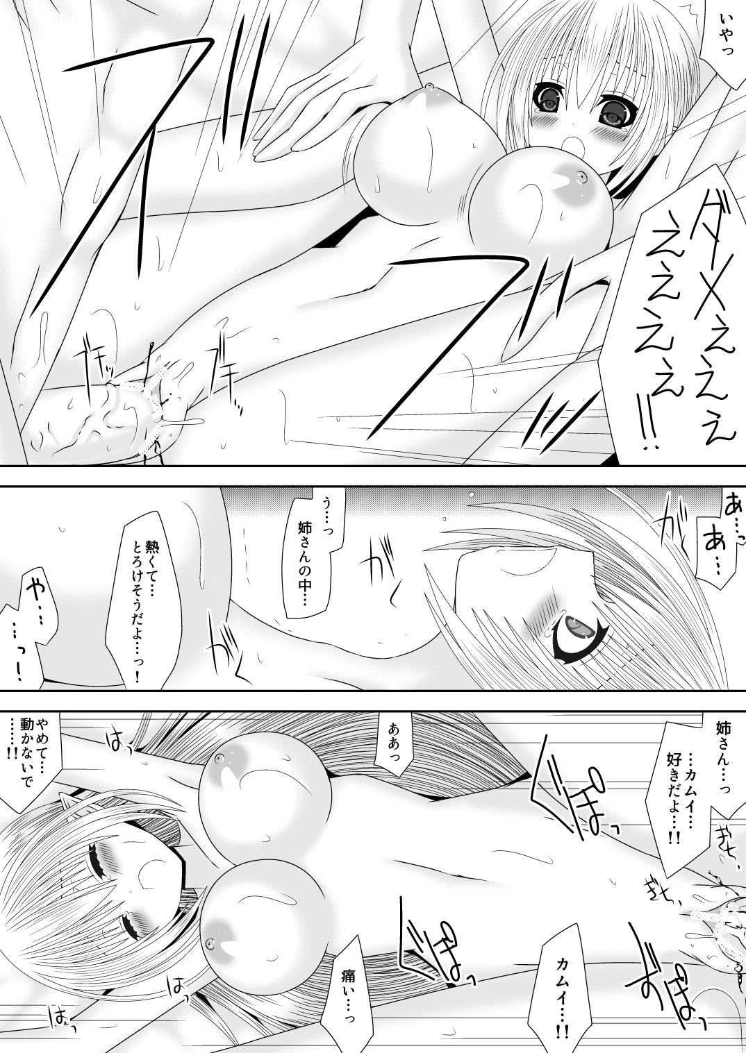 [織田夏樹] 弟たちの透魔王国繁栄記 (ファイアーエムブレムif)