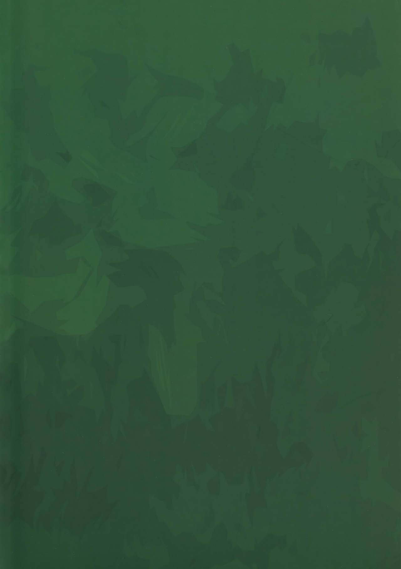 (ショタスクラッチ22) [EX35 (かまぼこRED)] ぬかるみ (爆走兄弟レッツ&ゴー!!)