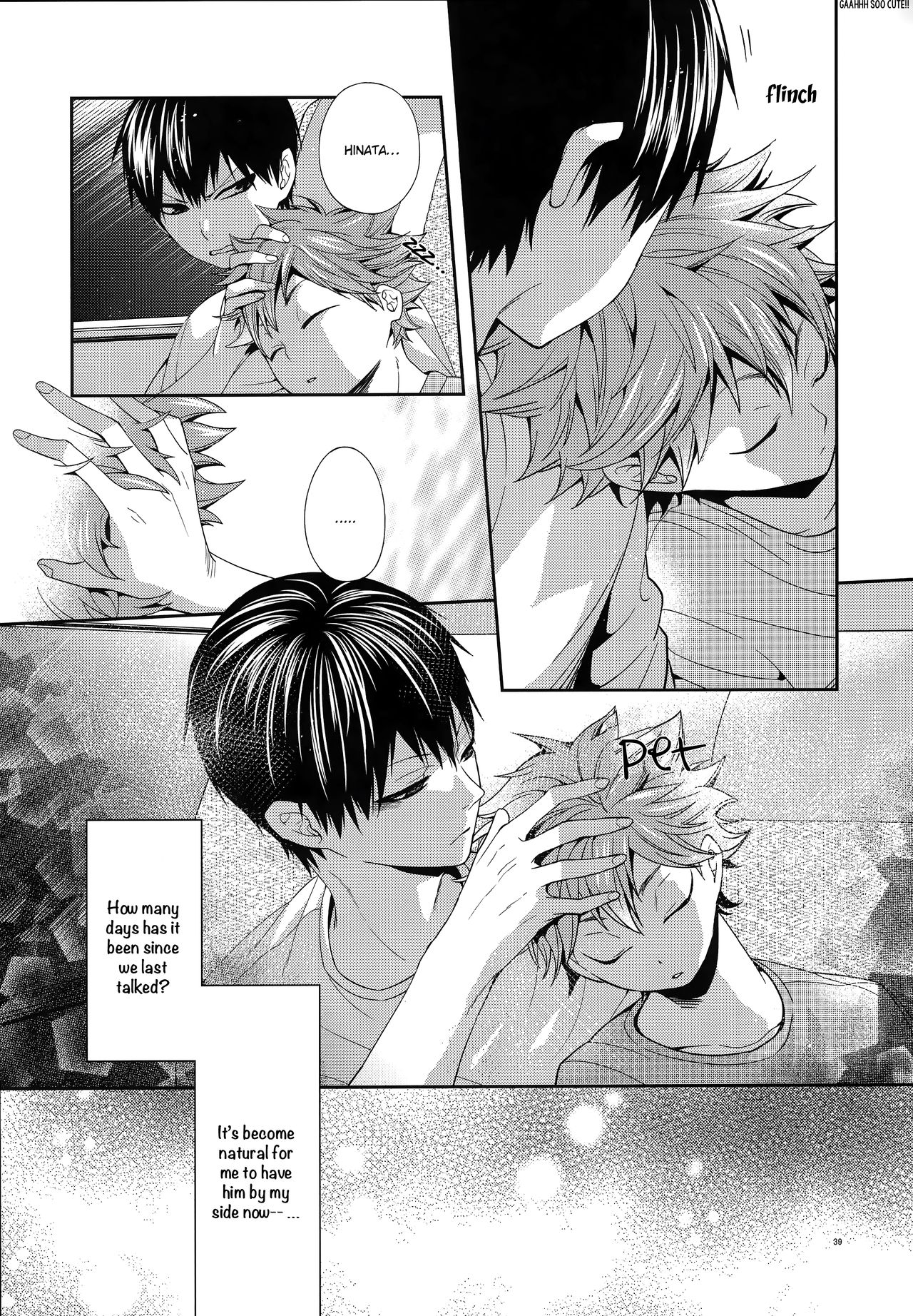 (C87) [零式 (かぼす)] Primary target -前編- (ハイキュー!!) [英訳]