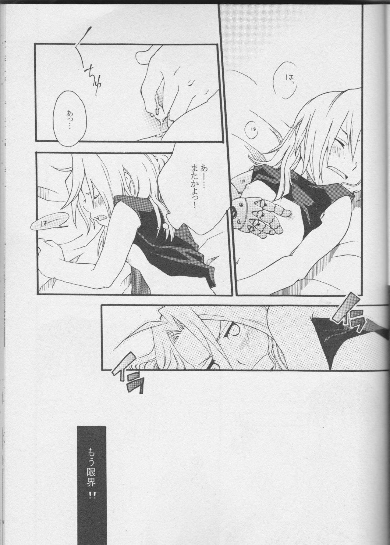 [MIX*SCRAMBLE (春日夢)] TRUE SECRET (鋼の錬金術師)