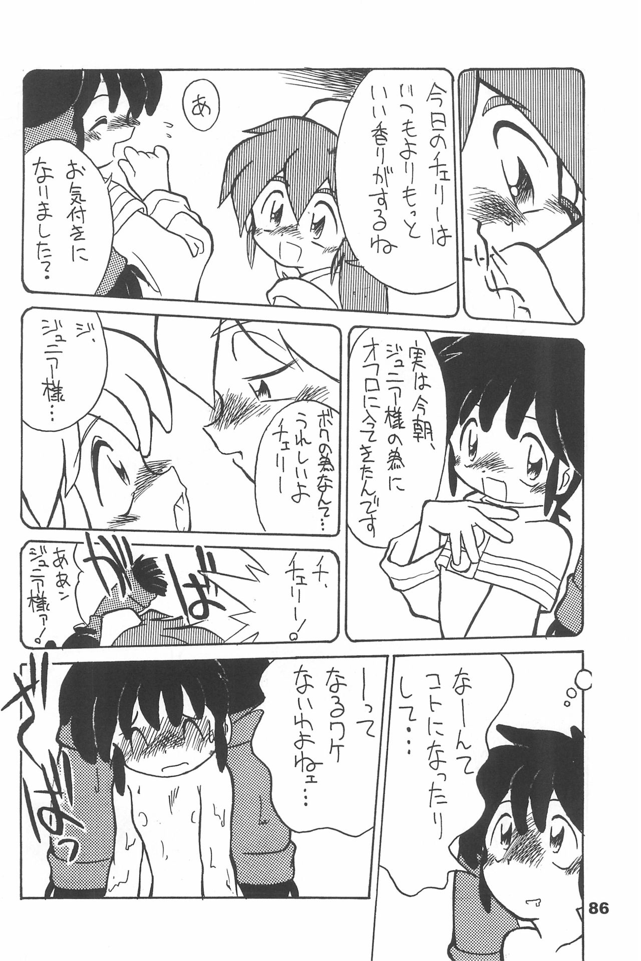 (C70) [散水社 (よねまる)] よねまる アーカイブ 2 ～きっとまた逢えるよ～ (よろず)