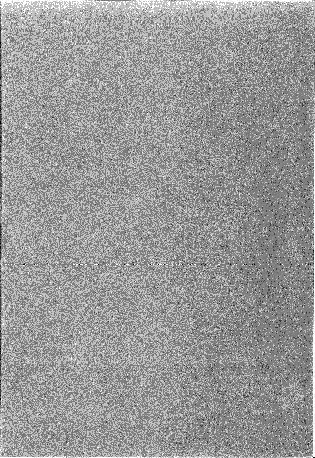 (C93) [朝寝坊クライシス (明寝マン)] 先輩では満足できません (Fate/Grand Order)