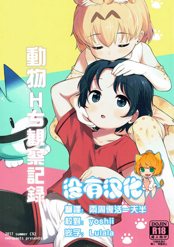 (C92) [ねこパンツ] けものえっち観察記録 (けものフレンズ) [中国翻訳]