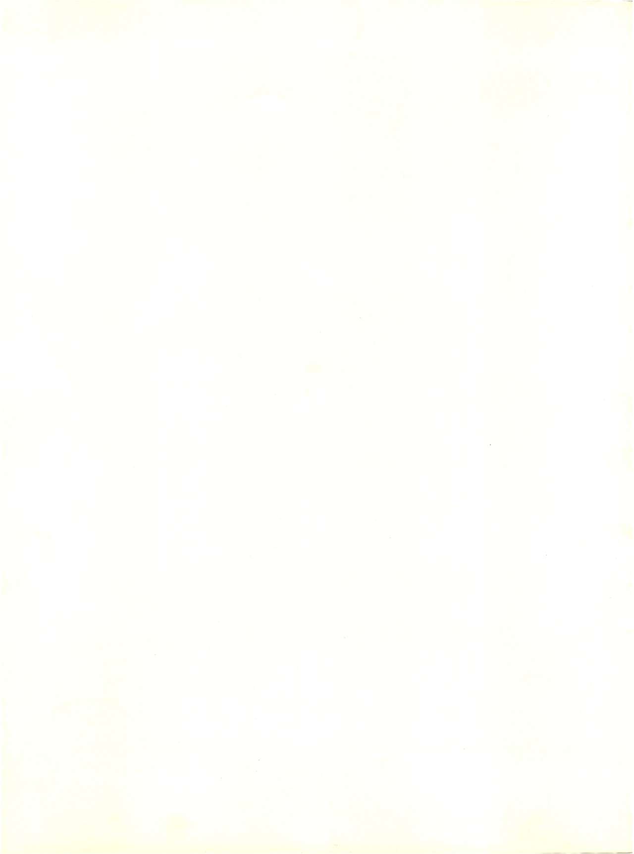 [FEELD HERN HALLE (よろず)] Perfect Lum (うる星やつら)