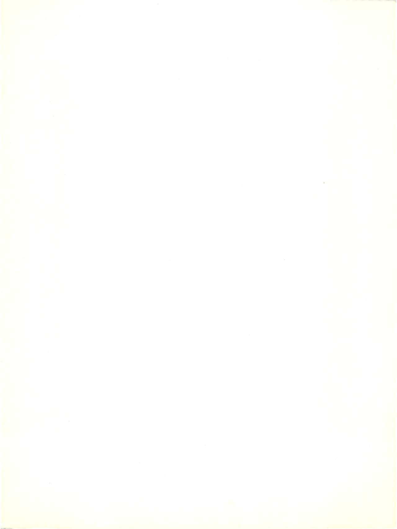 [FEELD HERN HALLE (よろず)] Perfect Lum (うる星やつら)