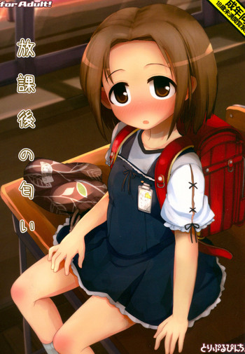 (C90) [とりぷるぴんち! (ひかみいずと)]	放課後の匂い