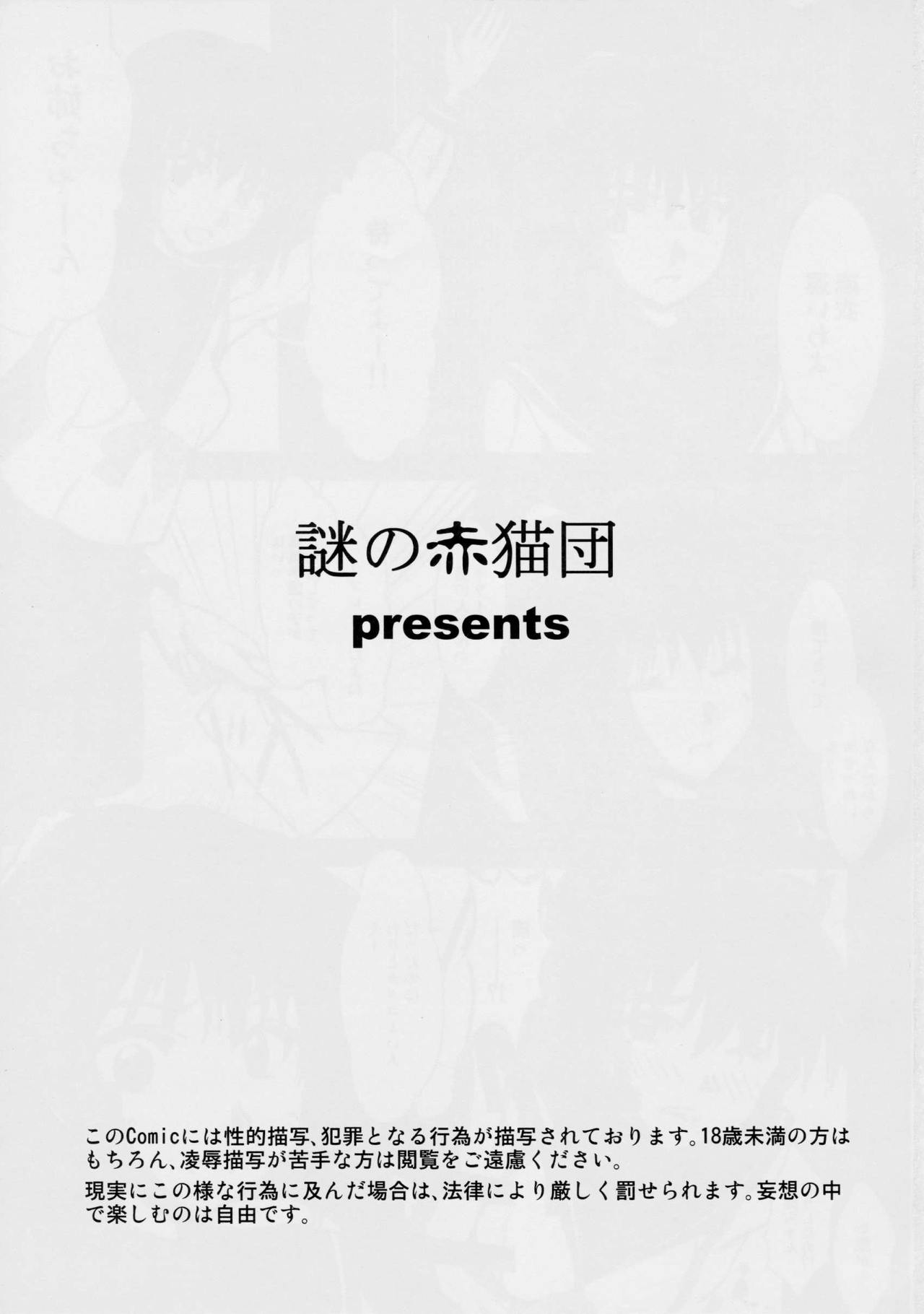 [謎の赤猫団 (黒猫弐号、黒猫零号)] 淫獣大聖戦 弐 姉妹淫獄編 (淫獣聖戦)