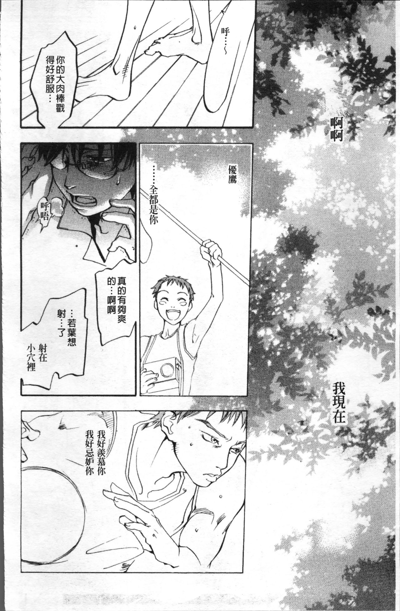 [米倉けんご] エヴァーグリーン [中国翻訳]