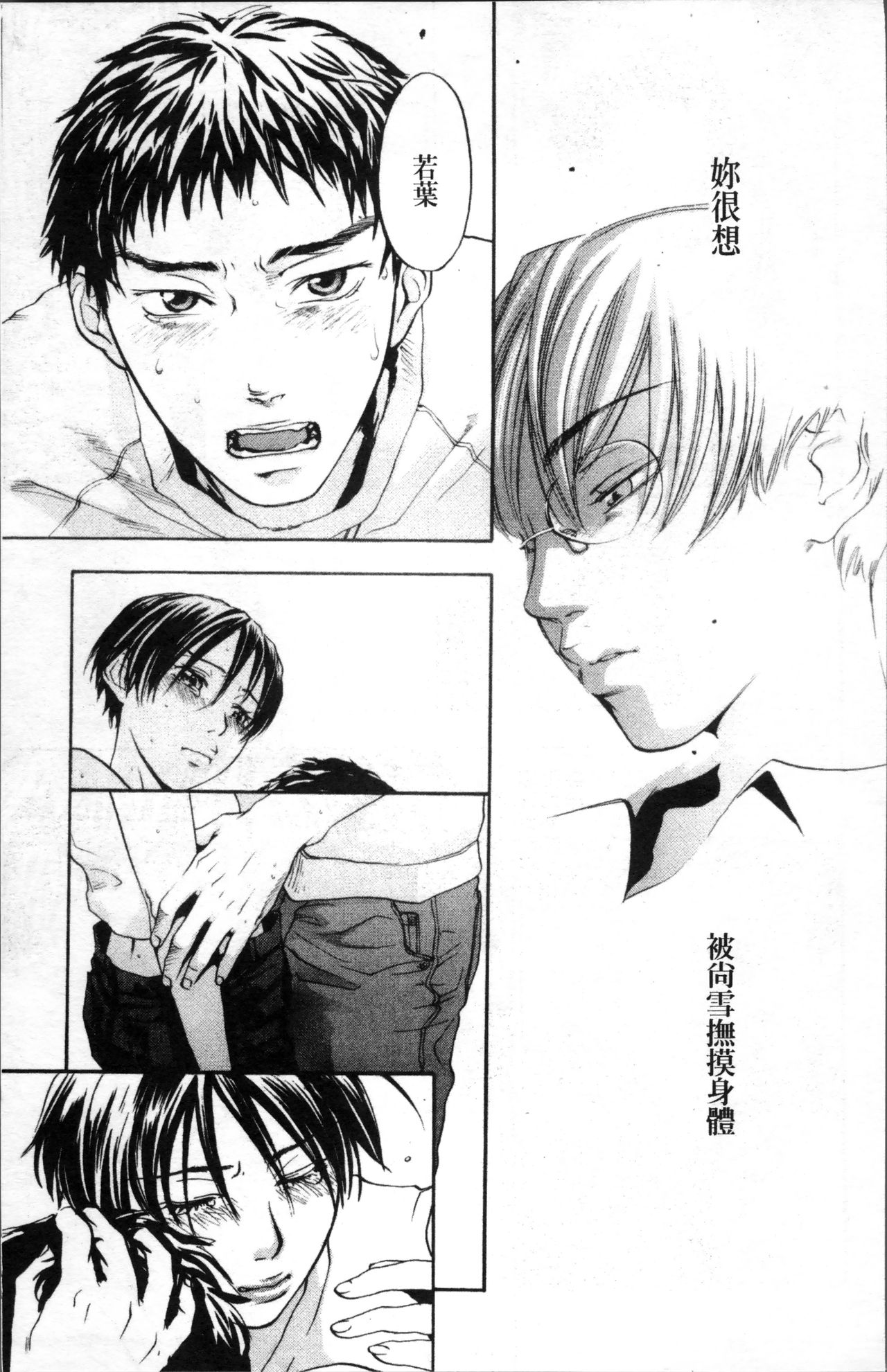 [米倉けんご] エヴァーグリーン [中国翻訳]