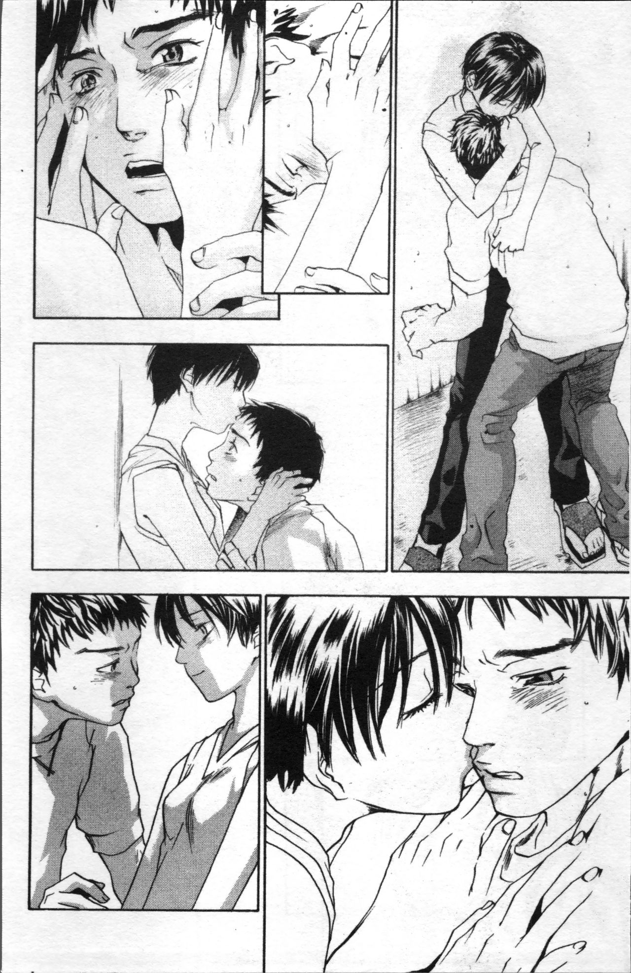 [米倉けんご] エヴァーグリーン [中国翻訳]