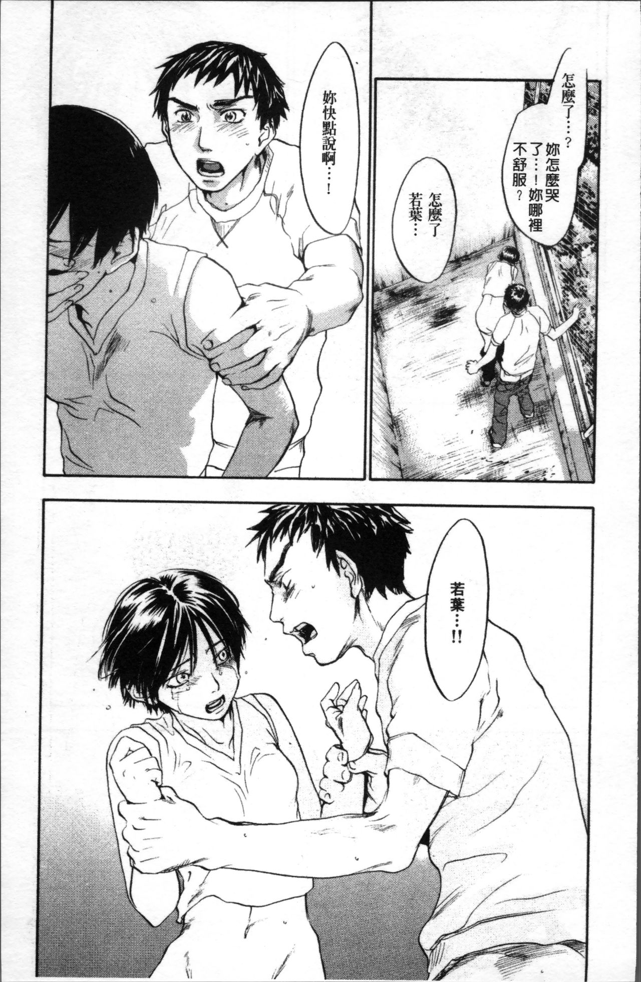 [米倉けんご] エヴァーグリーン [中国翻訳]