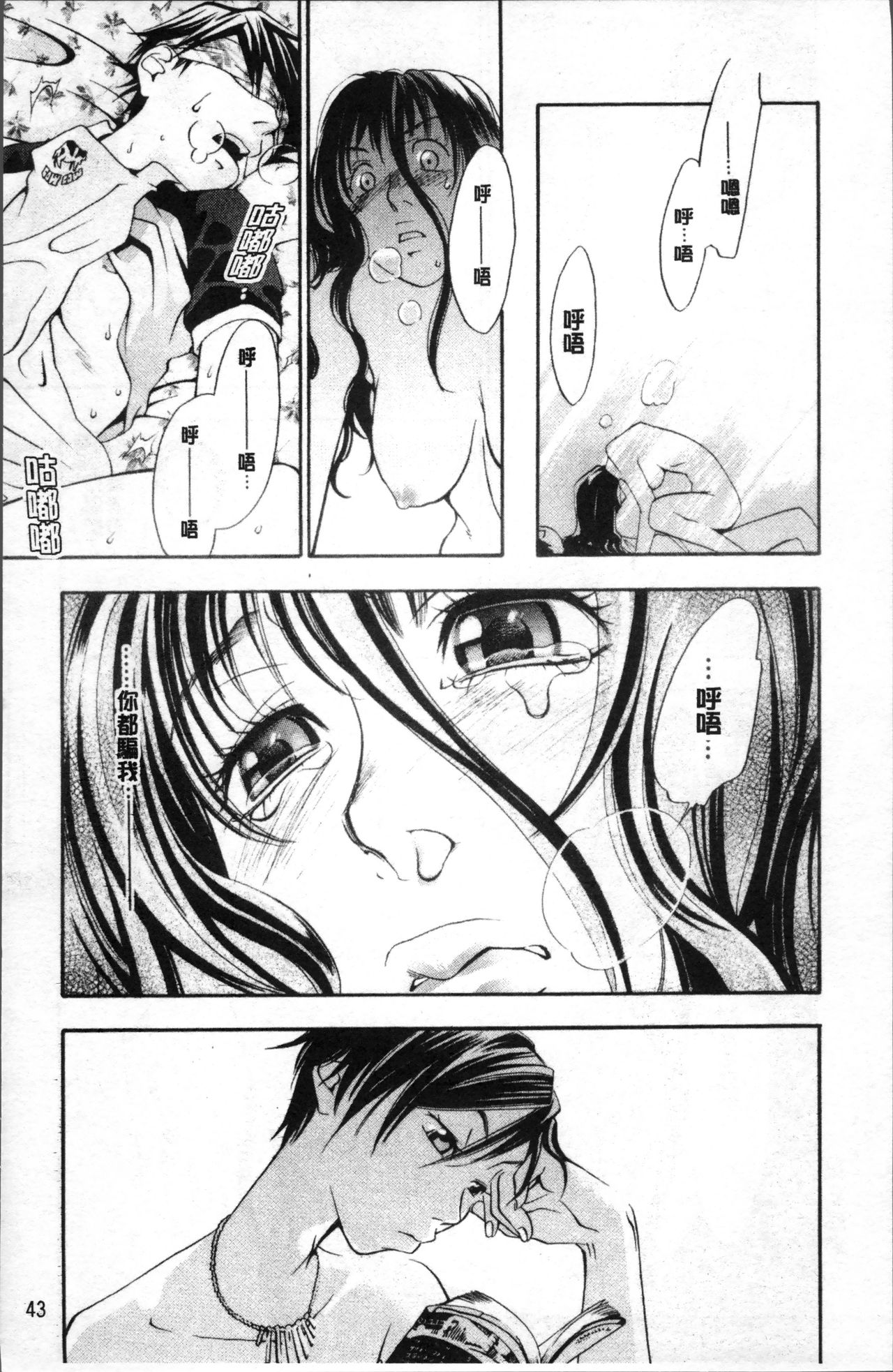 [米倉けんご] エヴァーグリーン [中国翻訳]