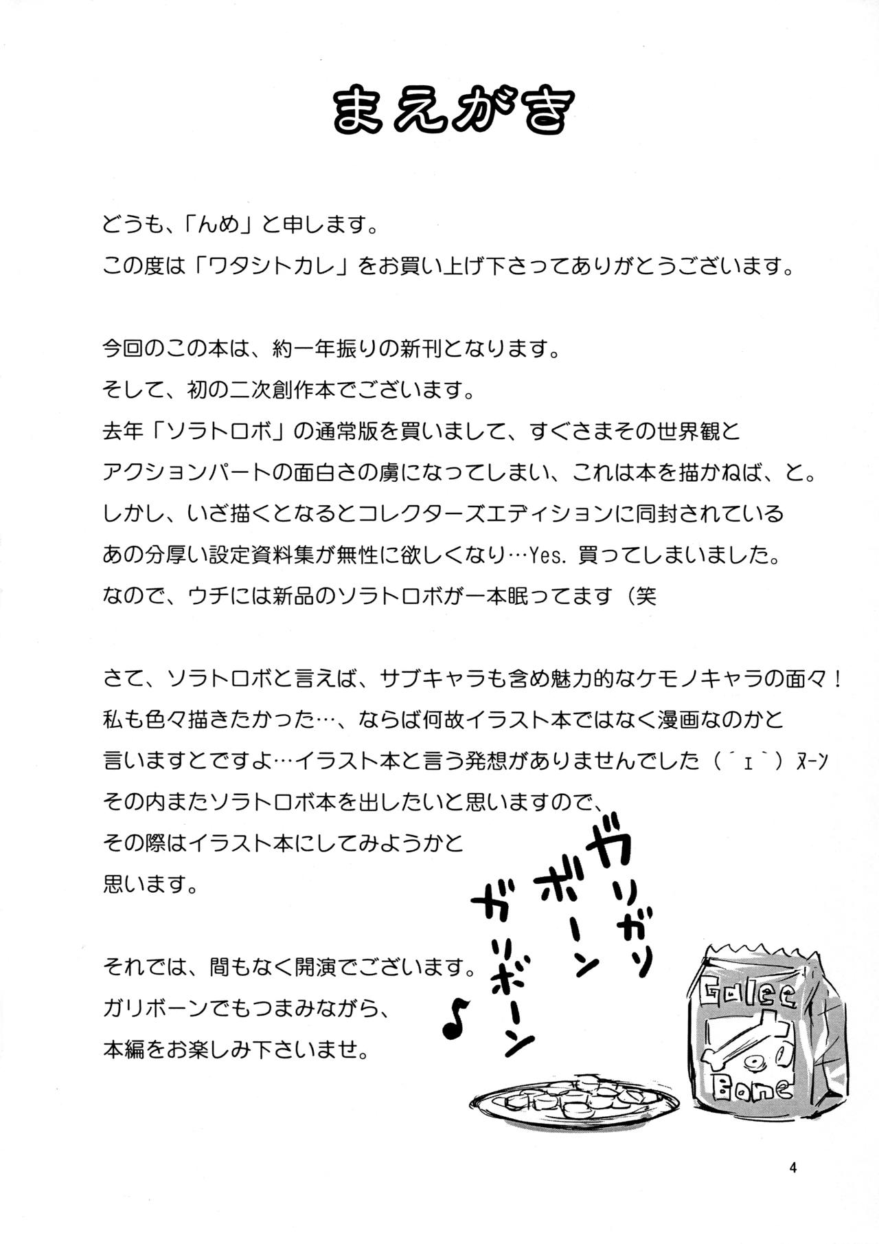 (ふぁーすと) [GREONE (んめ)] ワタシトカレ (Solatorobo それからCODAへ)