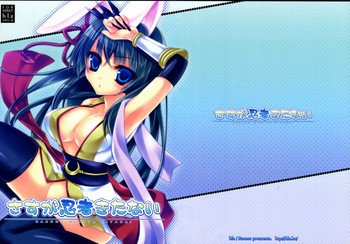 (C80) [hlz (鎖ノム)] さすが忍者きたない (ラグナロクオンライン)