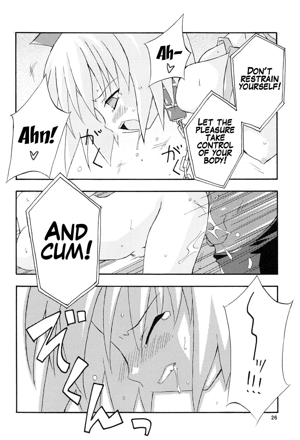 (C67) [Dr.VERMILION (ペテン師)] bird cage (ラグナロクオンライン) [英訳] [ページ欠落]