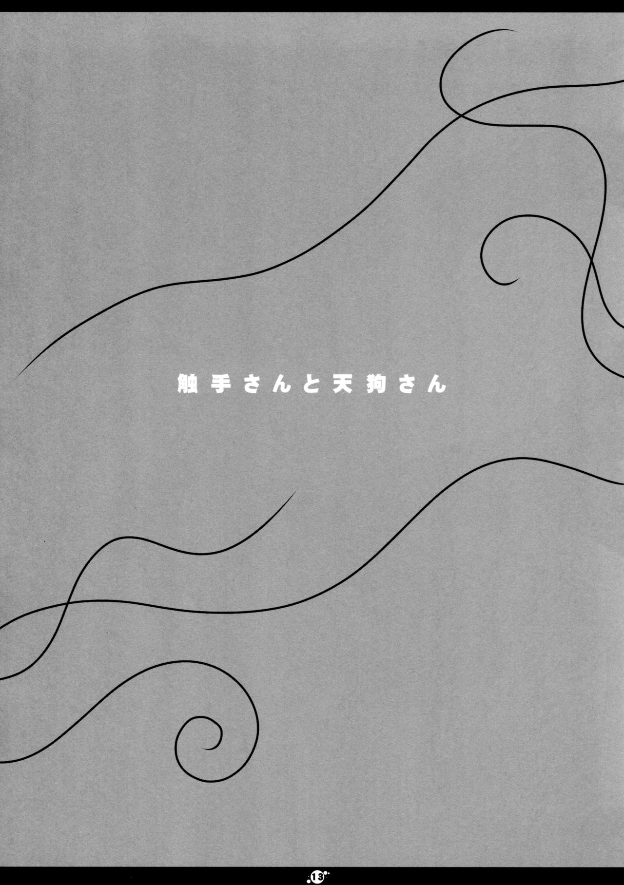 (例大祭8) [星時計 (ひよこ。)] 触手さんと天狗さん (東方Project)