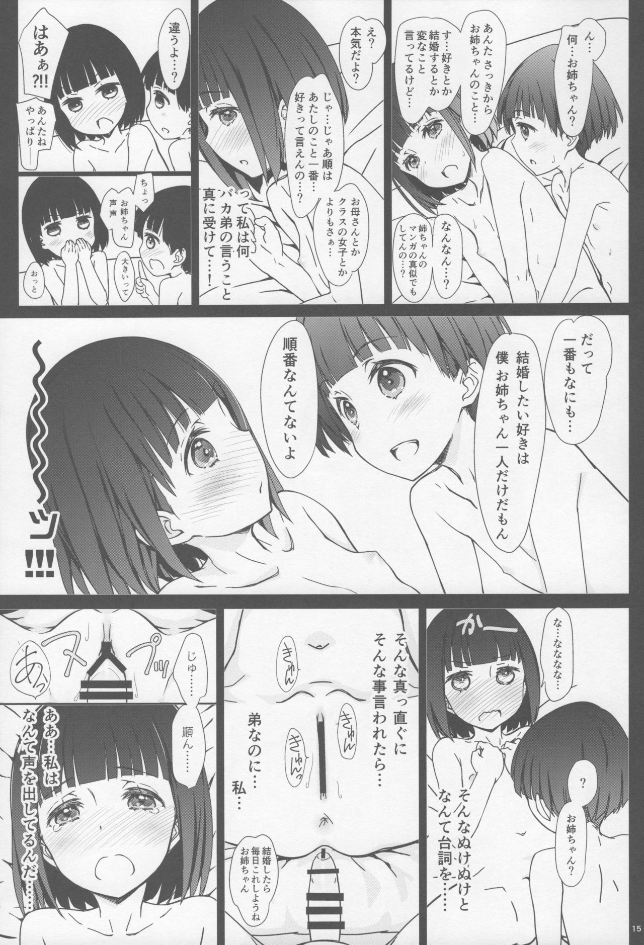(コミティア120) [超平板小娘電視台 (ほっけうるふ)] お姉ちゃんと僕と