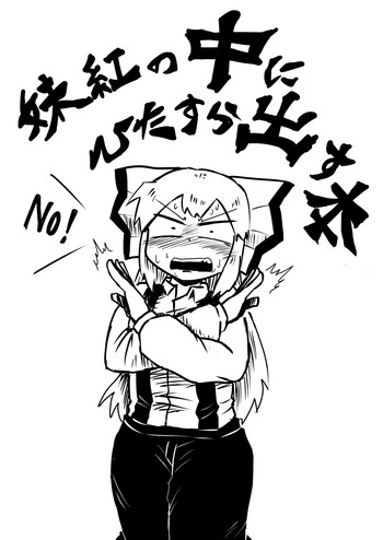 【ナイスタック】中出本（東方Project）