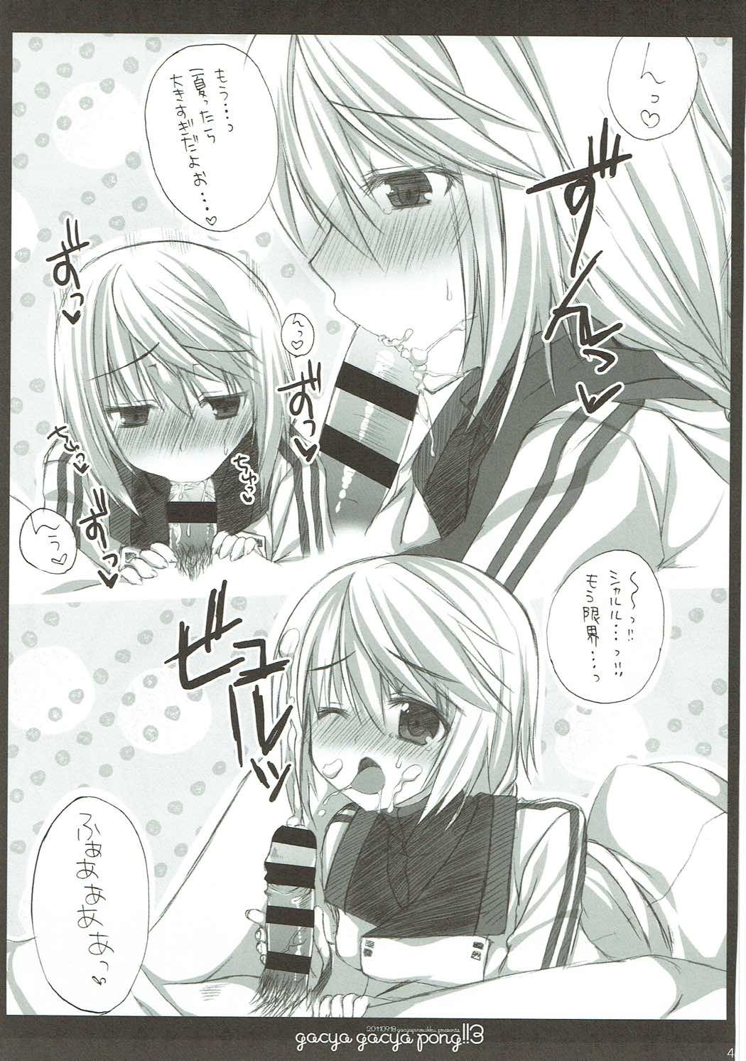 (C85) [がちゃぴんむっく。 (むかいきよはる)] しゃるこれ (IS＜インフィニット・ストラトス＞)