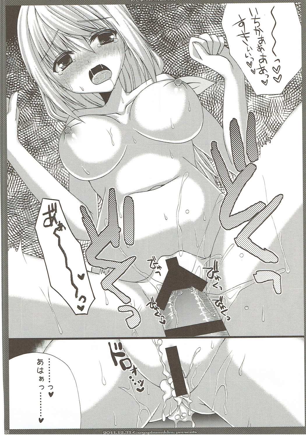 (C85) [がちゃぴんむっく。 (むかいきよはる)] しゃるこれ (IS＜インフィニット・ストラトス＞)