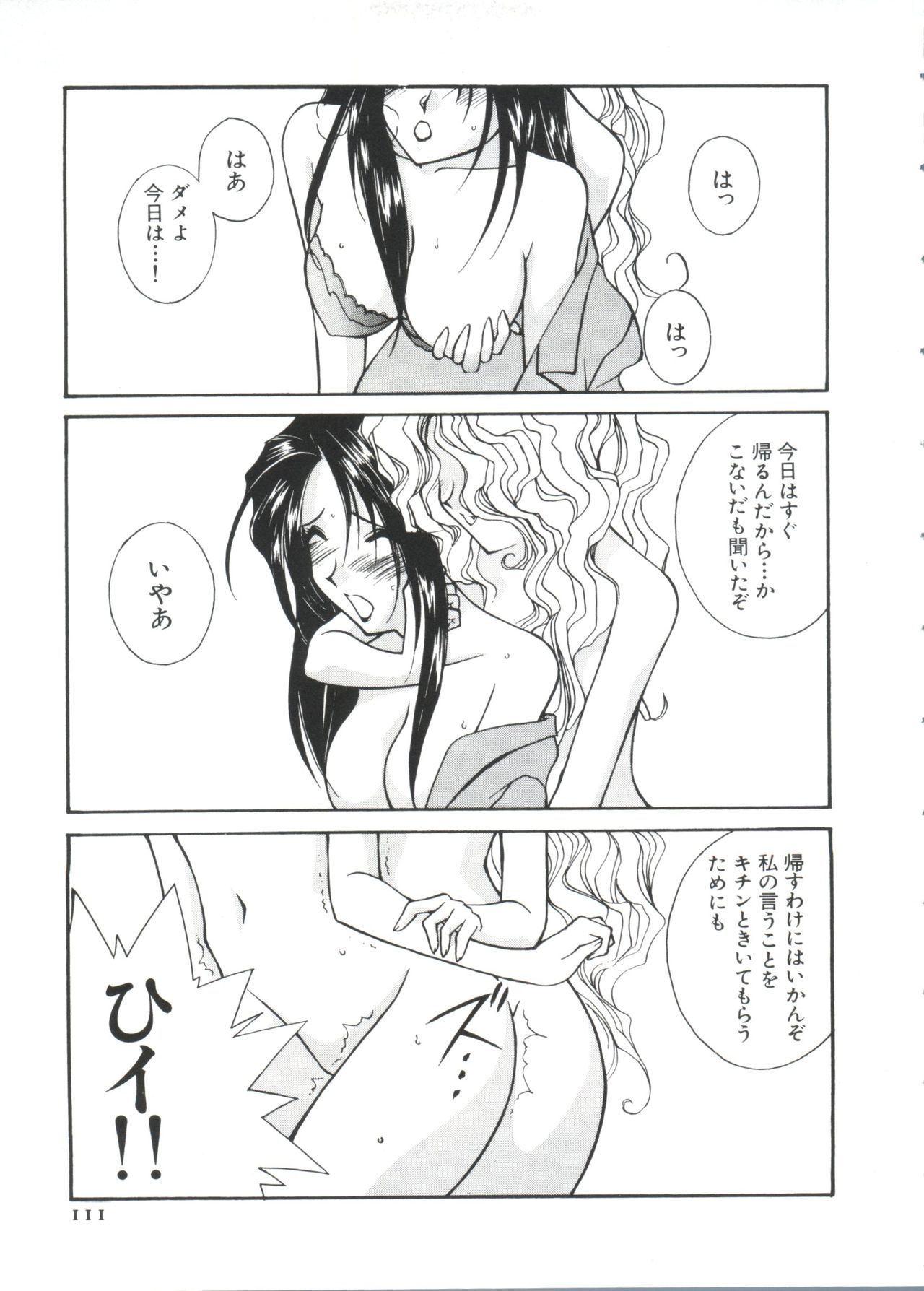 [アンソロジー] ぱろぱろ王国2 (よろず)