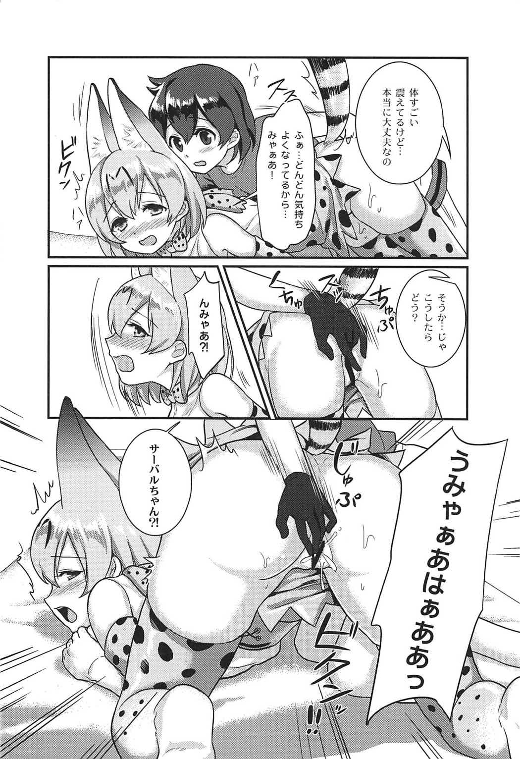 (C92) [天堂紙 (梟森)] 大好きに決まってる!! (けものフレンズ)