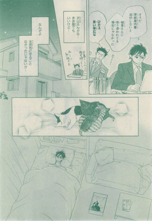 キャラ 2015年02月号