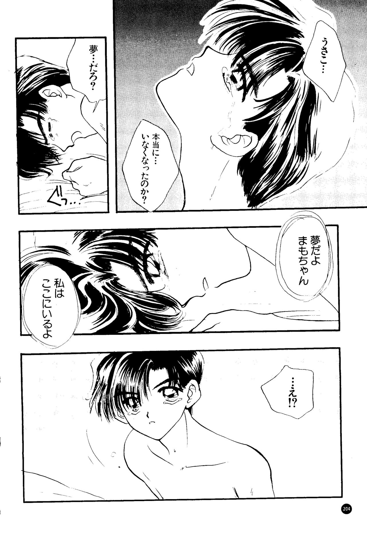 (C51) [SAILOR Q2 (RYÖ)] SFW SAILOR Q2 FUCKIN’ WORKS (美少女戦士セーラームーン)