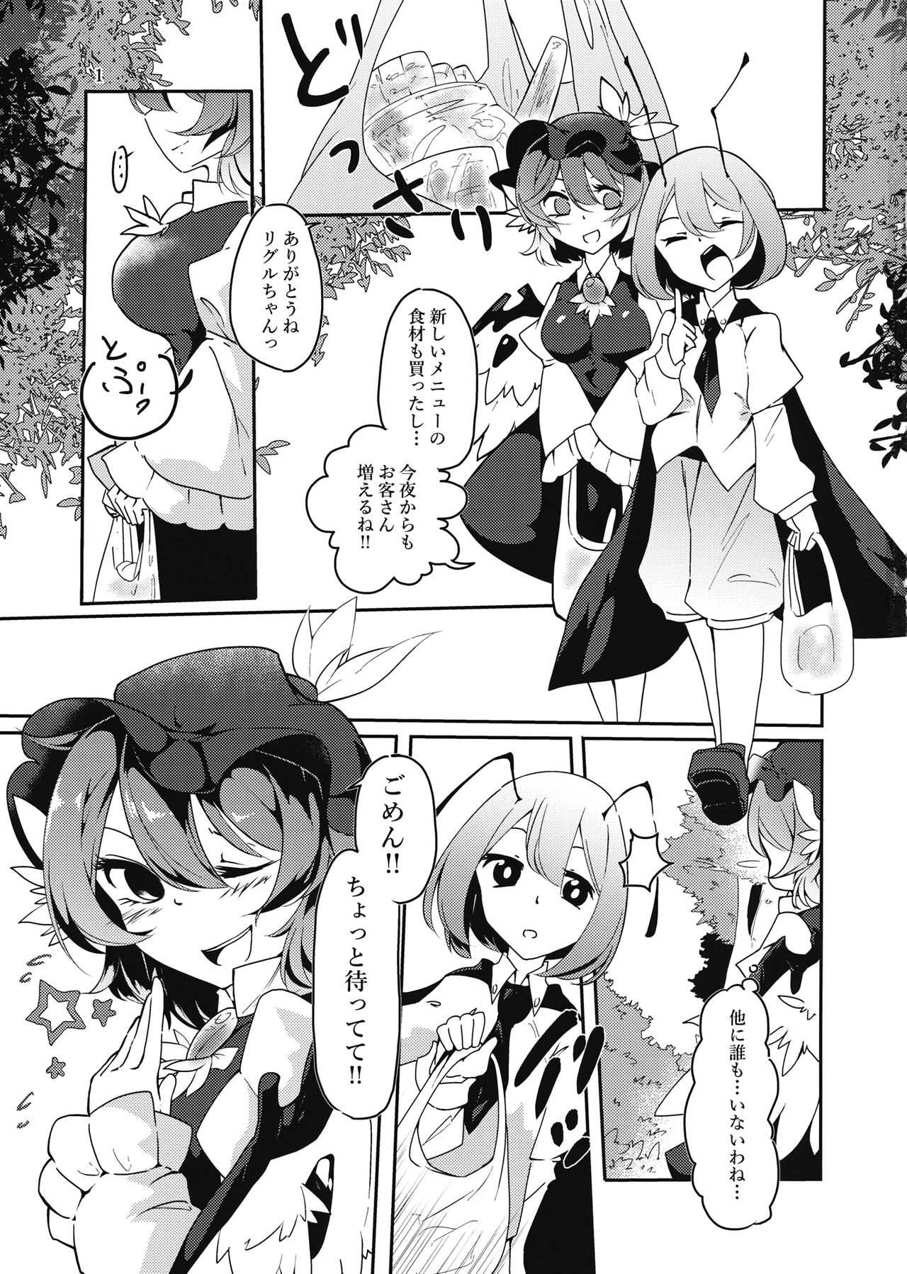 (例大祭14) [シュバルツリベレ (試咲型)] 見つけちゃったモノは仕方ない!? (東方Project)