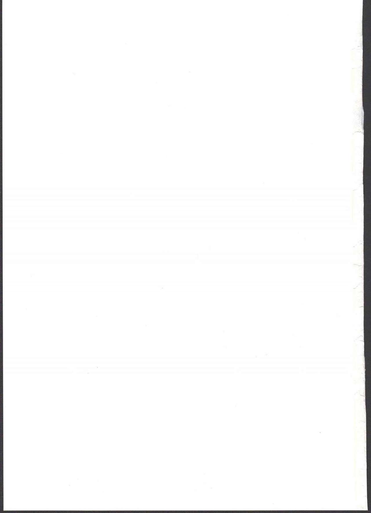 (C91) [兔子老大 (半里バード)] 龍虎少女との性生活 (パズル&ドラゴンズ)