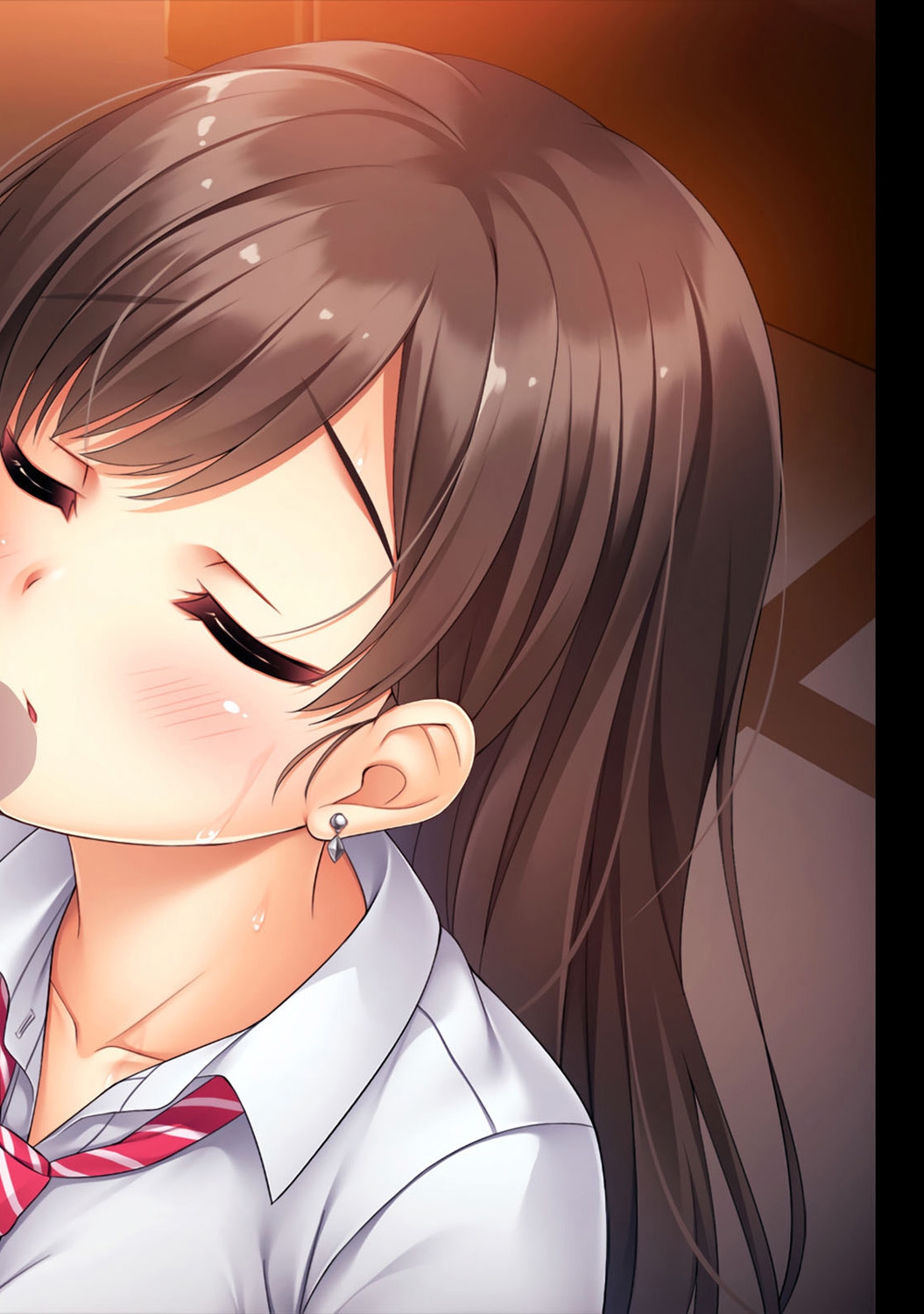 COMIC アナンガ・ランガ Vol.22