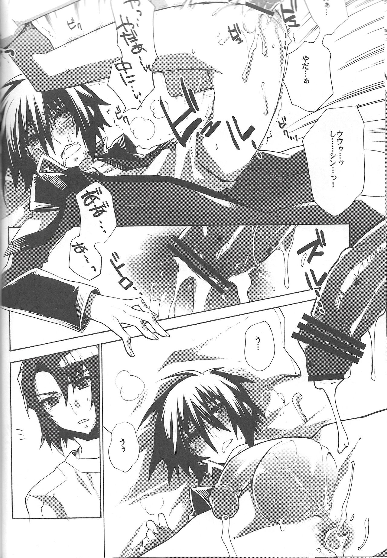 (C82) [幸街 (椎名歩未)] 君の体温は嘘みたいな幸せ (機動戦士ガンダムSEED DESTINY)