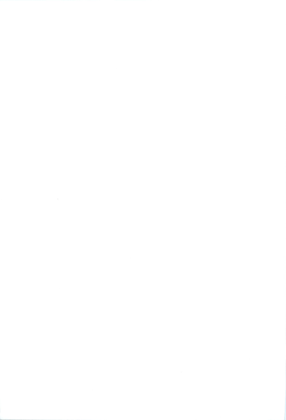 (紅楼夢12) [楓道 (外道、ねたろぅ)] 姦 -身も心も堕ちるまで- (東方Project)