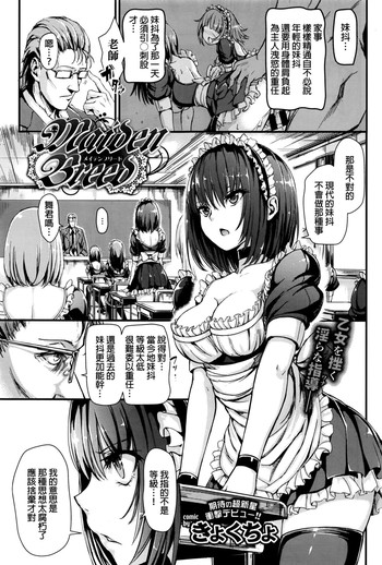 [きょくちょ] Maiden Breed (COMIC BAVEL 2016年10月号) [中国翻訳]