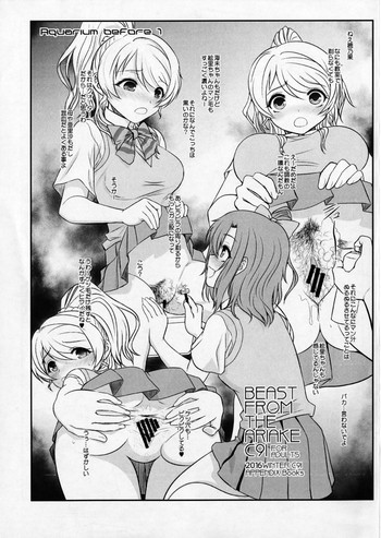(C91) [DIEPPE FACTORY Darkside (あるぴーぬ)] BEAST FROM ARIAKE C91 (ラブライブ!)