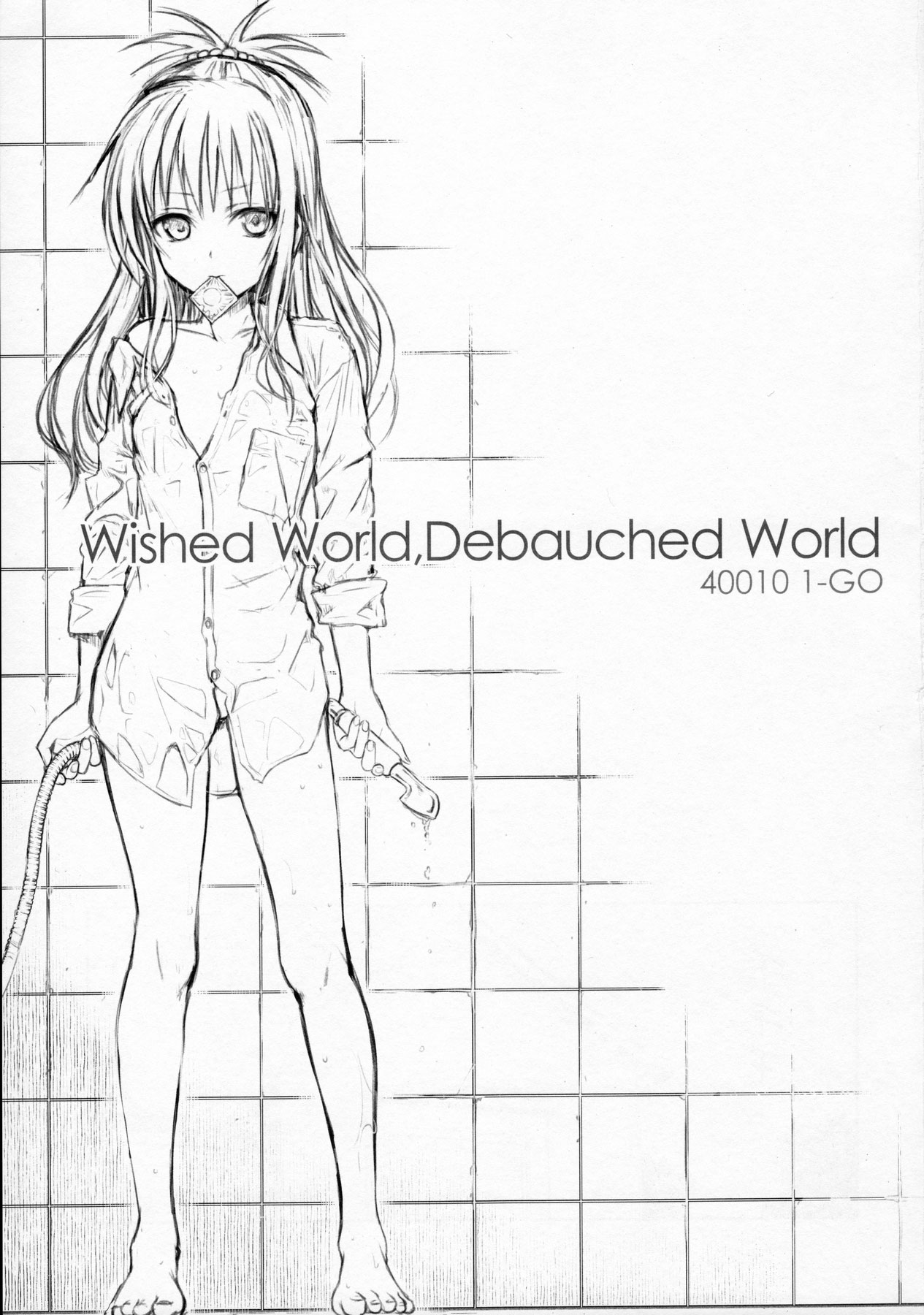 (C91) [40010壱号 (40010試作型)] Wished World,Debauched World (To LOVEる -とらぶる-) [英訳]