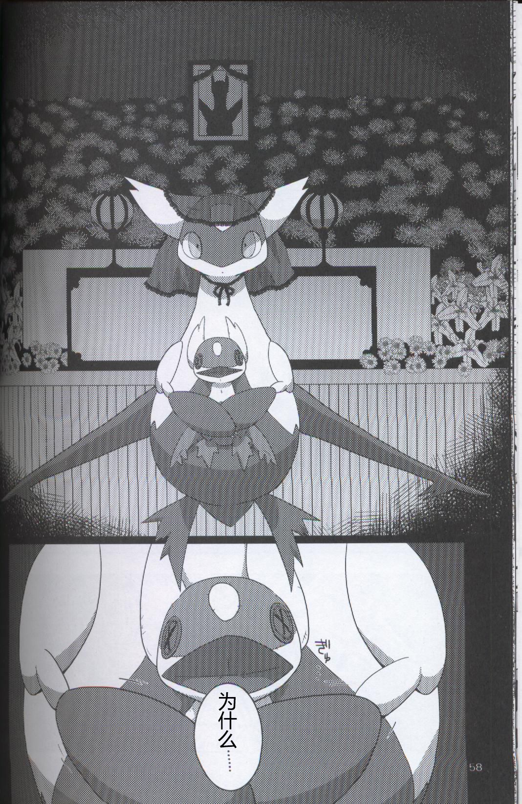 (関西!けもケット5) [FUYUGOMORI (winte)] TEARDROPS (ポケットモンスター) [中国翻訳]