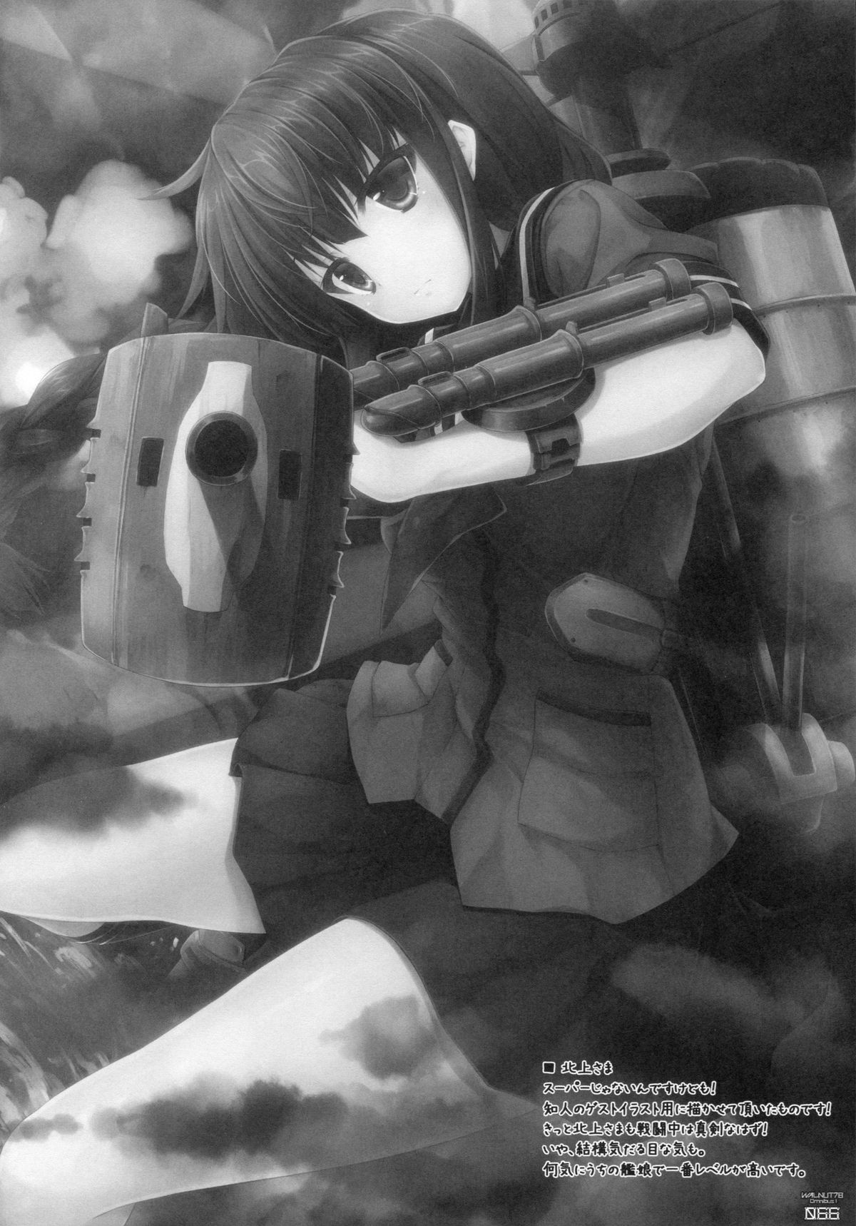 (C89) [翠苑 (翠燕)] WALNUT78 Omnibus 1 -Suien-en Illustrations 2012-2014- (よろず)