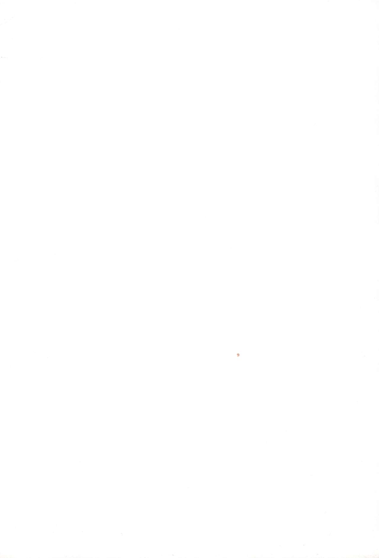 (サンクリ32) [イヌリンゴ、ニリツハイハン (ニリツ)] About18cm 3rd (Fate/stay night)