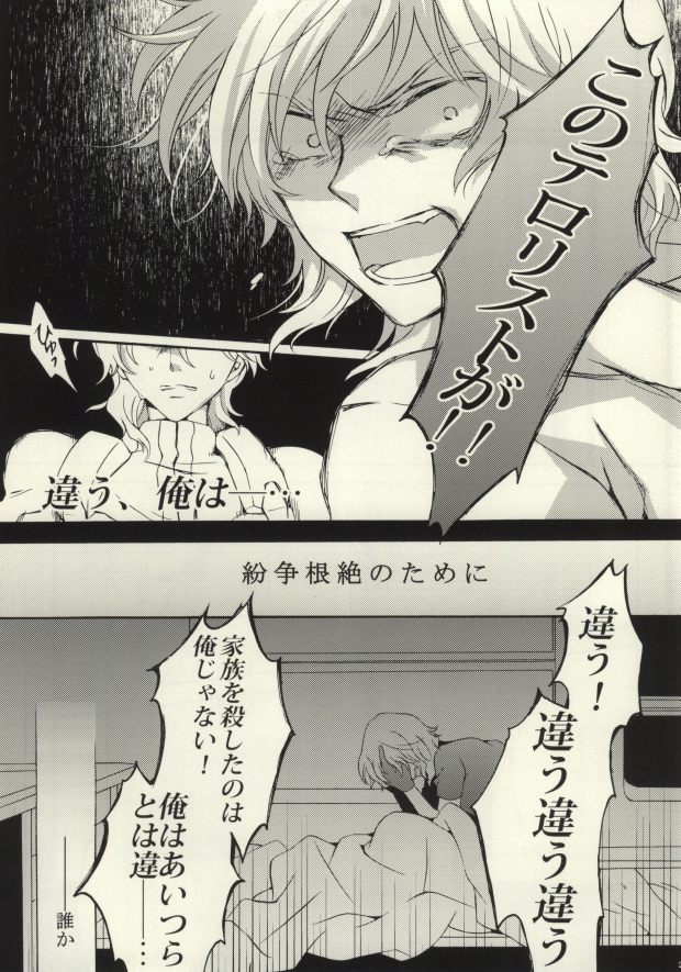 (SPARK4) [一掃g (市梨きみ)] I'm sorry mama (機動戦士ガンダム00)