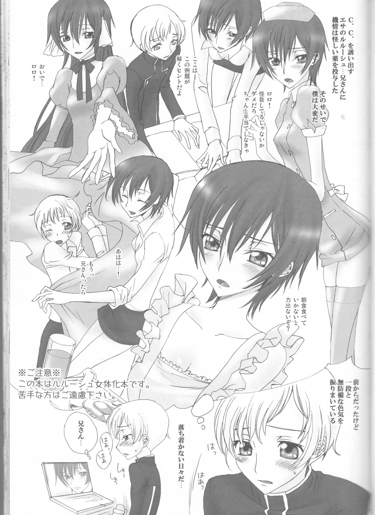 (C75) [MAX&Cool. (さわむらきな)] BABY SPARKS ベイビースパーク 2008 再録集 (コードギアス 反逆のルルーシュ)