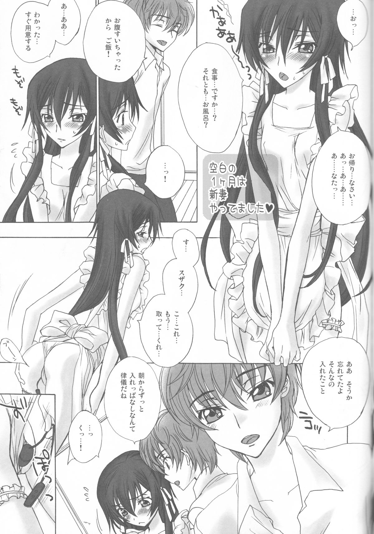 (C75) [MAX&Cool. (さわむらきな)] BABY SPARKS ベイビースパーク 2008 再録集 (コードギアス 反逆のルルーシュ)