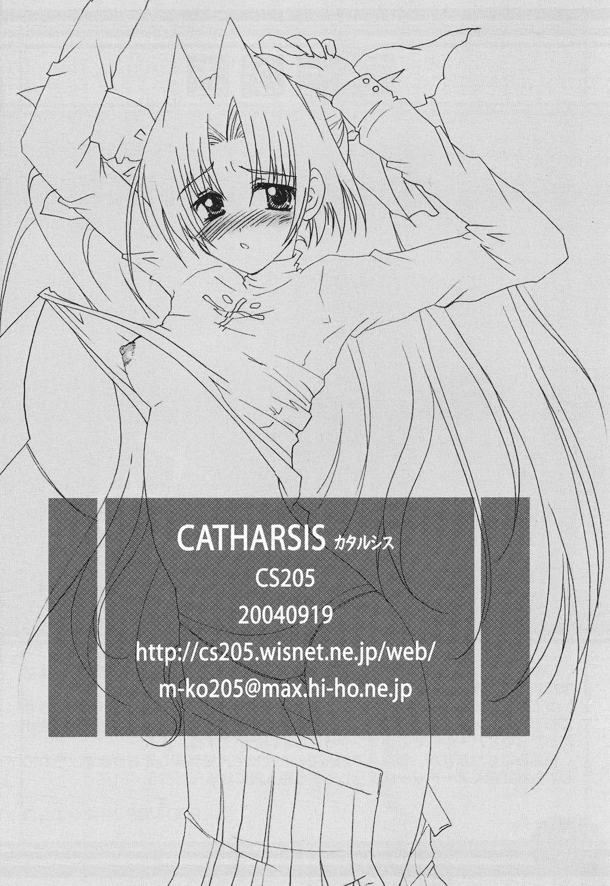 (サンクリ25) [CS205 (キネヤエムコ)] CATHARSIS (Fate/stay night)