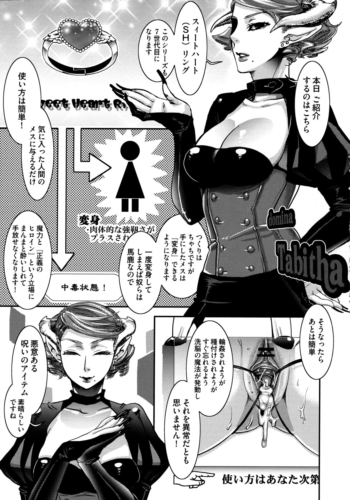 [甘竹朱郎] 寵姫さまの淫虐遊戯