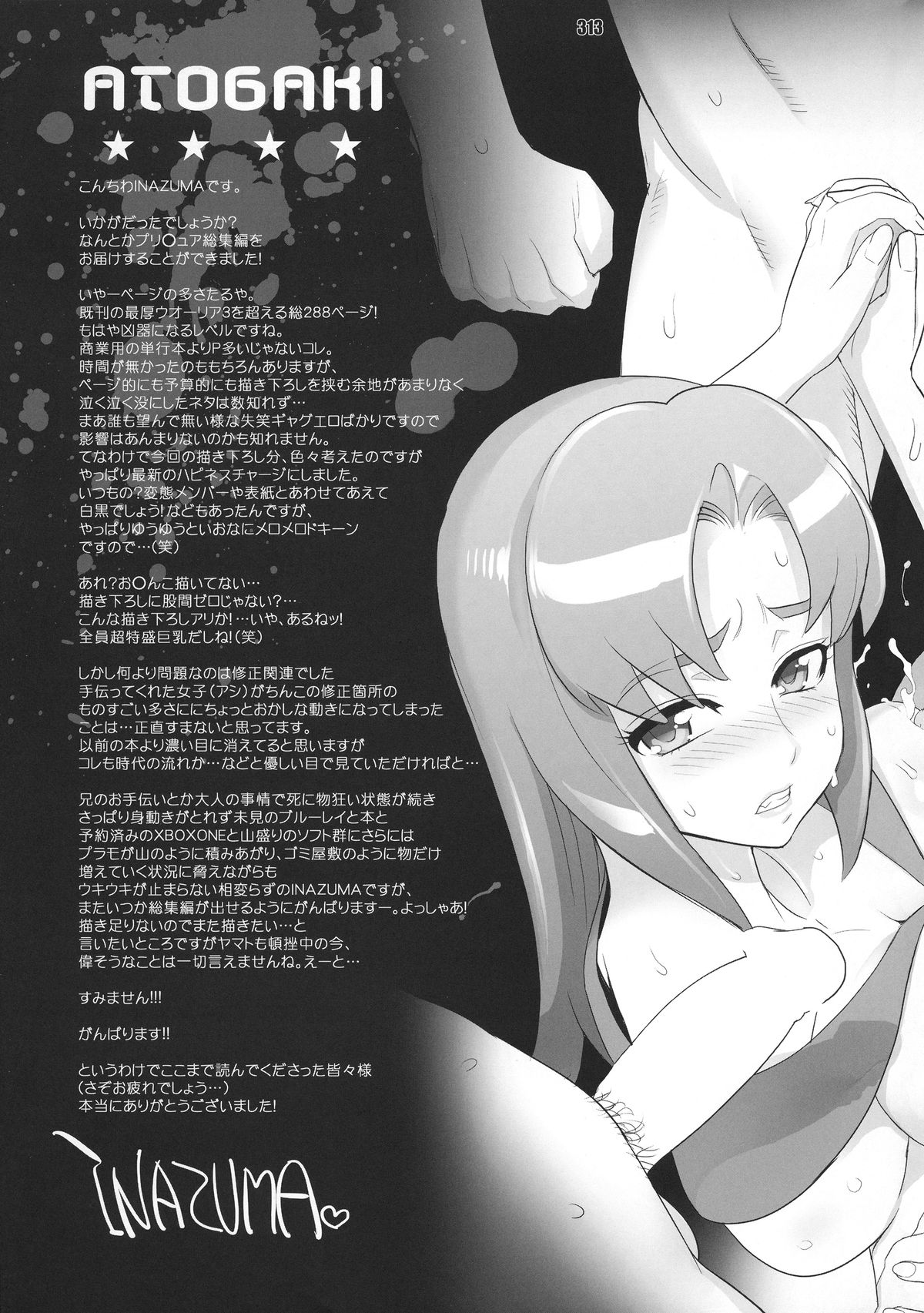 [Digital Accel Works (INAZUMA)] イナズマプリティウオーリア (プリキュアシリーズ)