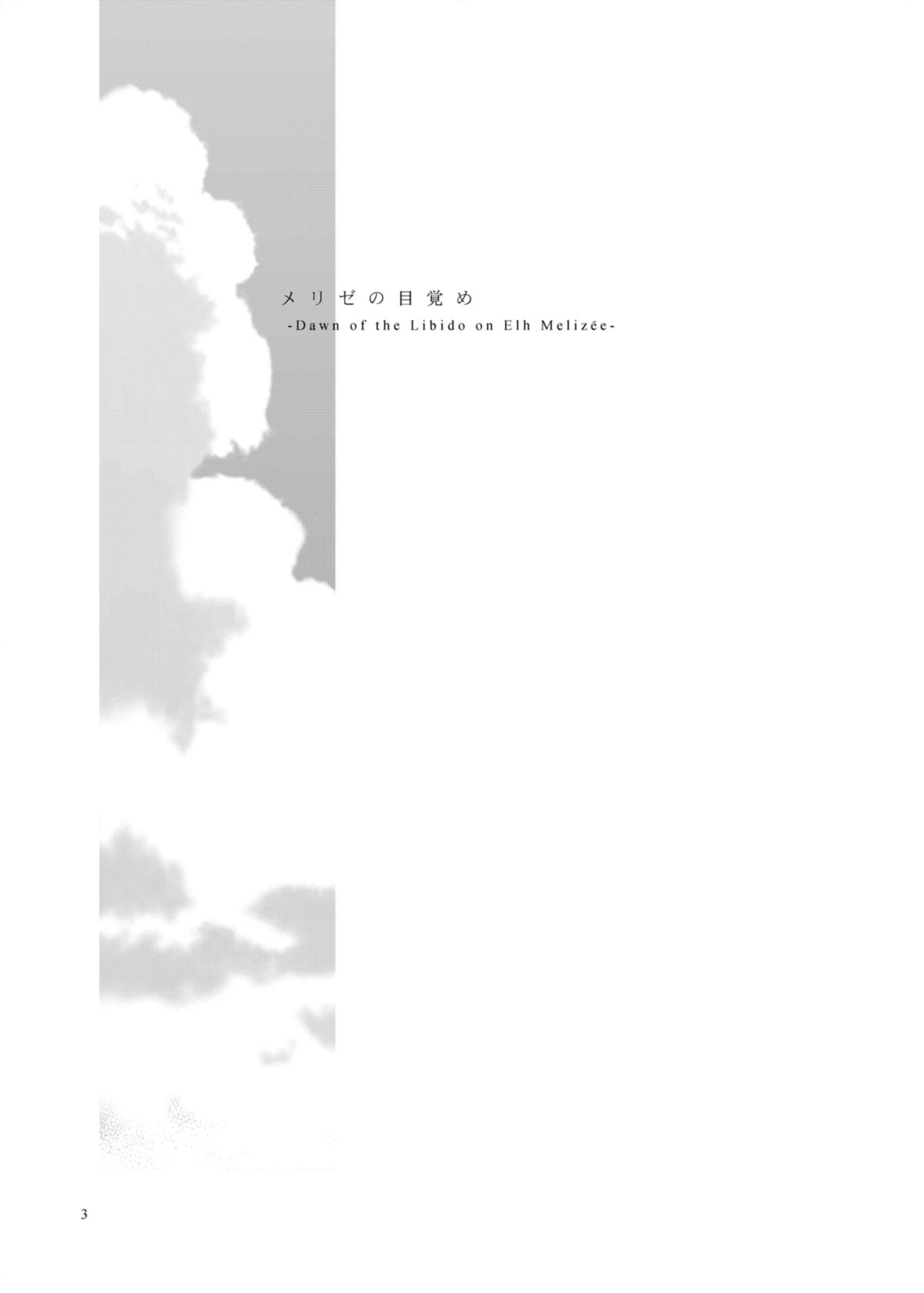 (C82) [宇宙男爵、Quad Prime (MATRA-MICA)] メリゼの目覚め (Solatorobo それからCODAへ)